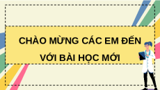 Giáo án Powerpoint Bài 20: Môi trường và các nhân tố sinh thái Sinh học 12 Chân trời sáng tạo