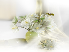 Giáo án Powerpoint Trao đổi khí ở sinh vật Sinh học - KHTN 7 Cánh diều