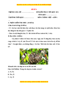 Đề thi Tiếng Việt lớp 1 Học kì 2 Kết nối tri thức (Đề 6)