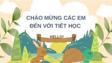 Giáo án Powerpoint Sinh trưởng và phát triển ở động vật Sinh học 11 Kết nối tri thức