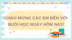 Giáo án Powerpoint Bài 12: Chăn nuôi gà thịt trong nông hộ Công nghệ 7 Kết nối tri thức