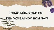 Bài giảng Powerpoint Bài Thực hành Chủ đề 6