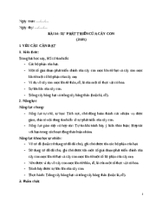 Giáo án Bài 14 Khoa học lớp 5 Kết nối tri thức: Sự phát triển của cây con