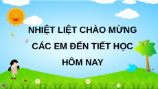 Giáo án Powerpoint Em làm được những gì? (trang 56, 57, 58) Toán lớp 2 Chân trời sáng tạo (phiên bản 2)