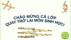 Giáo án Powerpoint Bài 35: Nhiễm sắc thể và bộ nhiễm sắc thể KHTN 9 Cánh diều