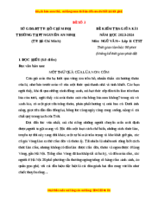 Đề thi giữa kì 1 Sở GD & ĐT Hồ Chí Minh Ngữ văn 11 Chân trời sáng tạo (đề 13)