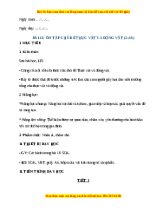 Giáo án Ôn tập chủ đề Thực vật và động vật TNXH lớp 2 Chân trời sáng tạo