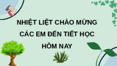 Giáo án Powerpoint Bảng chia 2 (trang 23, 24) Toán lớp 2 Chân trời sáng tạo (phiên bản 2)