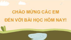 Bài giảng Powerpoint Sinh học 11 Kết nối tri thức