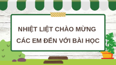 Giáo án Powerpoint Bài 1: Thành phần và vai trò của đất đối với cây trồng Khoa học lớp 5 Kết nối tri thức