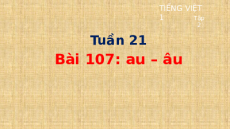 Giáo án Powerpoint Bài 107: au, âu Tiếng việt lớp 1 Cánh diều