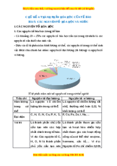 Lý thuyết Sinh học 10 Cánh diều Bài 5: Các nguyên tố hóa học và nước