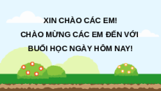 Giáo án Powerpoint Bài 1: Giới thiệu về trồng trọt 10 Kết nối tri thức