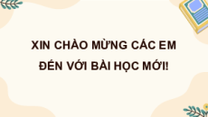 Giáo án Powerpoint Bài 3: Xôn xao mùa hè Tiếng việt lớp 4 Chân trời sáng tạo (Phiên bản 2)
