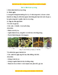 Lý thuyết Công nghệ 10 Trồng trọt Cánh diều Bài 14: Bệnh hại cây trồng