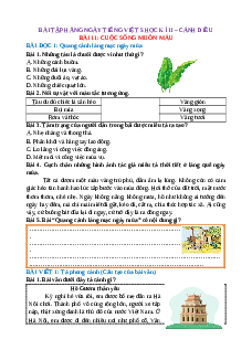 Bài tập hàng ngày Tiếng Việt lớp 5 Học kì 2 Cánh diều