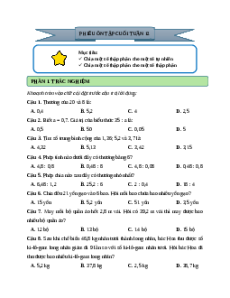 Bài tập cuối tuần Toán lớp 5 Cánh diều Tuần 12