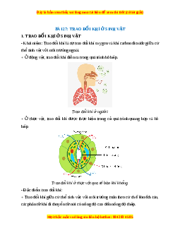 Lý thuyết Khoa học tự nhiên 7 Chân trời sáng tạo Bài 27: Trao đổi khí ở sinh vật