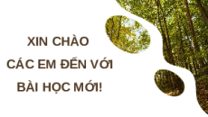 Giáo án Powerpoint Bài 18: Thực hành Địa lí 9 Chân trời sáng tạo