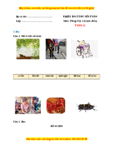 Bài tập cuối tuần Tiếng việt lớp 1 Tuần 12 Cánh diều (có lời giải)