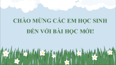 Bài giảng Powerpoint Khoa học lớp 5 Chân trời sáng tạo