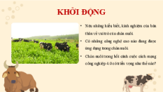 Bài giảng Powerpoint Công nghệ chăn nuôi 11 Kết nối tri thức
