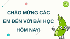 Giáo án Powerpoint Bài 8: Học thuyết di truyền của Mendel Sinh học 12 Kết nối tri thức