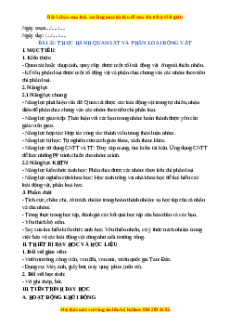 Giáo án Bài 32 KHTN 6 Chân trời sáng tạo (2024): Thực hành quan sát và phân loại thực vật ngoài thiên nhiên