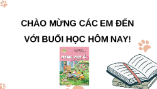 Giáo án Powerpoint Đọc: Cảm xúc Trường Sa (trang 44, 45) Tiếng việt lớp 4 Kết nối tri thức (Phiên bản 2)