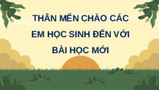 Giáo án Powerpoint Quang hợp ở thực vật Sinh học 11 Kết nối tri thức
