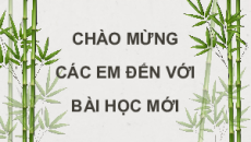 Giáo án Powerpoint Bài 8: Về lại Gò Công Tiếng việt lớp 4 Chân trời sáng tạo (Phiên bản 2)