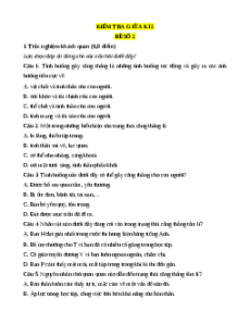 Đề thi giữa kì 2 GDCD 7 Cánh diều (Đề 2)