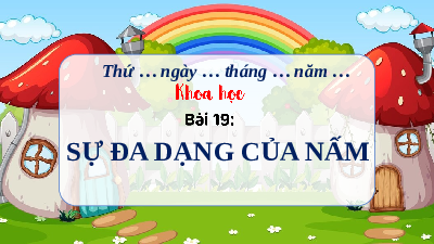 Giáo án Powerpoint Bài 19 Khoa học lớp 4 Chân trời sáng tạo: Sự đa dạng của nấm