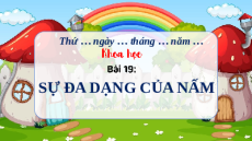 Giáo án Powerpoint Bài 19 Khoa học lớp 4 Chân trời sáng tạo: Sự đa dạng của nấm