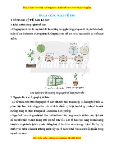 Lý thuyết Sinh học 10 Chân trời sáng tạo Bài 21: Công nghệ tế bào