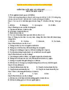 Đề thi giữa kì 1 Tin học 6 Kết nối tri thức (Đề 1)