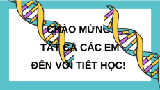 Giáo án Powerpoint Bài 14: Di truyền học người Sinh học 12 Chân trời sáng tạo