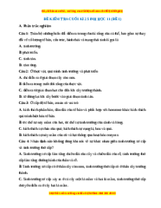 Đề thi cuối kì 2 Sinh học 11 Kết nối tri thức (Đề 1)