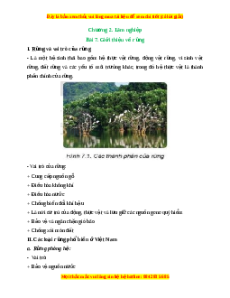 Lý thuyết Bài 7: Giới thiệu về rừng
