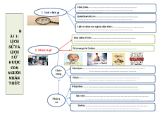 Vở ghi bài Lịch sử 10 (cả ba sách)