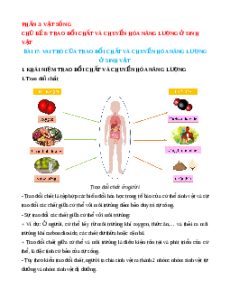 Lý thuyết Vai của trao đổi chất và chuyển hoá năng lượng ở sinh vật KHTN 7 Cánh diều