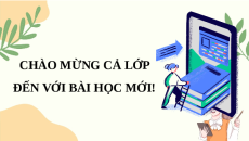 Giáo án Powerpoint Chủ đề D Tin học 11 Cánh diều: Phòng tránh lừa đảo và ứng xử văn hoá trên mạng