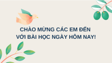 Giáo án Powerpoint Bài 13 Lịch sử 6 Cánh diều: Nước Âu Lạc