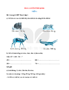 VBT Toán lớp 3 Bài 8 (Kết nối tri thức): Luyện tập chung