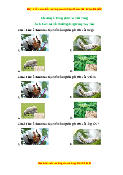 Trắc nghiệm Bài 6 Công nghệ 6 Chân trời sáng tạo: Các loại vải thường dùng trong may mặc