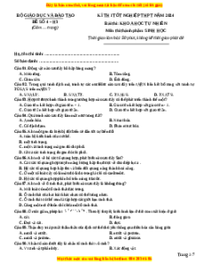 Đề Tốt nghiệp Sinh học 2024 theo đề tham khảo (Đề 4)