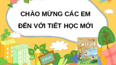 Giáo án Powerpoint Đọc: Cánh chim nhỏ (trang 129, 130) Tiếng việt lớp 4 Kết nối tri thức (Phiên bản 2)