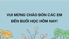 Giáo án Powerpoint Bài 17 KTPL 11 Chân trời sáng tạo (2024): Quyền bất khả xâm phạm về thân thể, được pháp luật bảo hộ