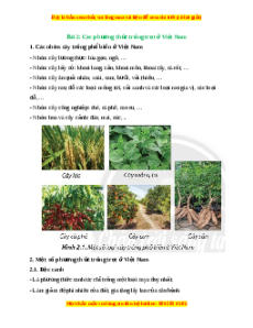 Lý thuyết Công nghệ 7 Chân trời sáng tạo Bài 2: Các phương thức trồng trọt ở Việt Nam