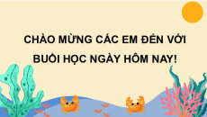Giáo án Powerpoint Đọc: Giặt áo trang 25, 26 Tiếng việt lớp 3 Cánh diều